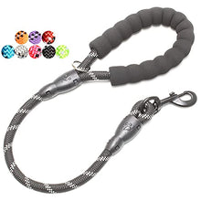 Load image into Gallery viewer, BAAPET 5 FT Padded Dog Leash