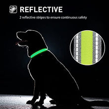 Load image into Gallery viewer, Safety Waterproof LED Dog Collar