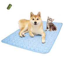 Load image into Gallery viewer, Summer Cooling & Sleeping Pad