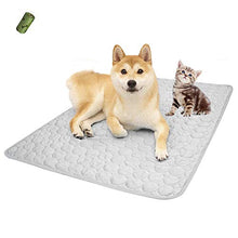 Load image into Gallery viewer, Summer Cooling & Sleeping Pad