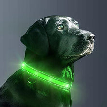 Load image into Gallery viewer, Safety Waterproof LED Dog Collar