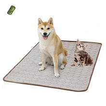 Load image into Gallery viewer, Summer Cooling & Sleeping Pad