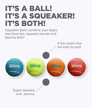 Load image into Gallery viewer, Outward Hound Squeaker Fetch Ballz