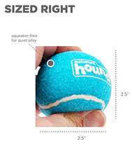 Load image into Gallery viewer, Outward Hound Squeaker Fetch Ballz