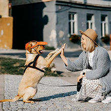Load image into Gallery viewer, 4 Pieces Pet Baseball Cap with Ear Holes