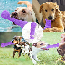 Load image into Gallery viewer, Dog Squeaky Toy