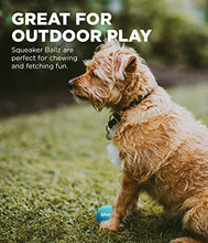 Load image into Gallery viewer, Outward Hound Squeaker Fetch Ballz