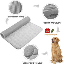 Load image into Gallery viewer, Summer Cooling & Sleeping Pad