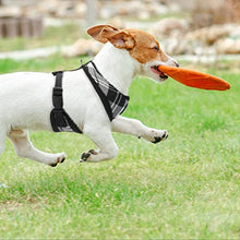 Load image into Gallery viewer, Soft Mesh Dog Harness
