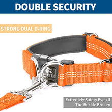 Load image into Gallery viewer, BAAPET Comfortable Dog Collar