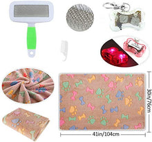 Load image into Gallery viewer, Puppy Starter Kits for Small Dog