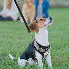 Load image into Gallery viewer, Soft Mesh Dog Harness
