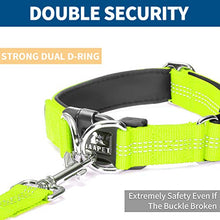 Load image into Gallery viewer, BAAPET Comfortable Dog Collar