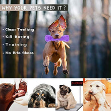 Load image into Gallery viewer, Dog Squeaky Toy