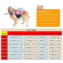Load image into Gallery viewer, Doglay Dog Life Jacket