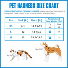 Load image into Gallery viewer, Soft Mesh Dog Harness