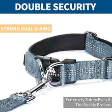 Load image into Gallery viewer, BAAPET Comfortable Dog Collar