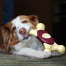 Load image into Gallery viewer, Dog Squeaky Toy