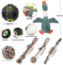 Load image into Gallery viewer, Puppy Starter Kits for Small Dog