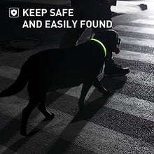 Load image into Gallery viewer, Safety Waterproof LED Dog Collar
