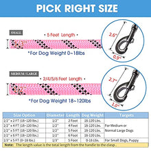 Load image into Gallery viewer, BAAPET 5 FT Padded Dog Leash