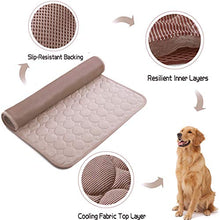 Load image into Gallery viewer, Summer Cooling & Sleeping Pad