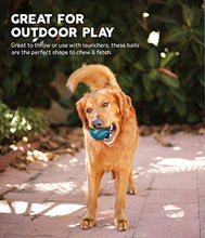 Load image into Gallery viewer, Outward Hound Squeaker Fetch Ballz
