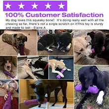 Load image into Gallery viewer, Dog Squeaky Toy