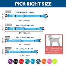 Load image into Gallery viewer, BAAPET Comfortable Dog Collar