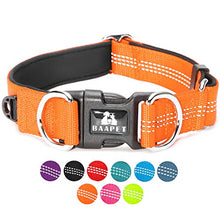 Load image into Gallery viewer, BAAPET Comfortable Dog Collar
