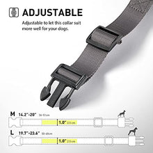 Load image into Gallery viewer, Safety Waterproof LED Dog Collar