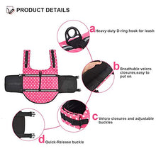 Load image into Gallery viewer, Doglay Dog Life Jacket