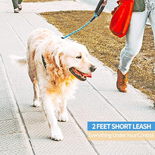 Load image into Gallery viewer, BAAPET 5 FT Padded Dog Leash