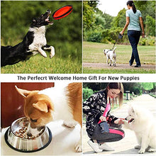 Load image into Gallery viewer, Puppy Starter Kits for Small Dog