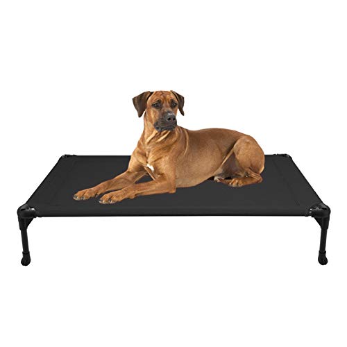 Portable Raised Pet Cot