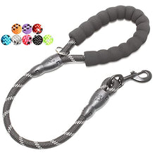 Load image into Gallery viewer, BAAPET 5 FT Padded Dog Leash
