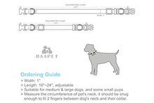 Load image into Gallery viewer, BAAPET Comfortable Dog Collar
