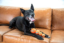 Load image into Gallery viewer, Outward Hound Squeaker Fetch Ballz
