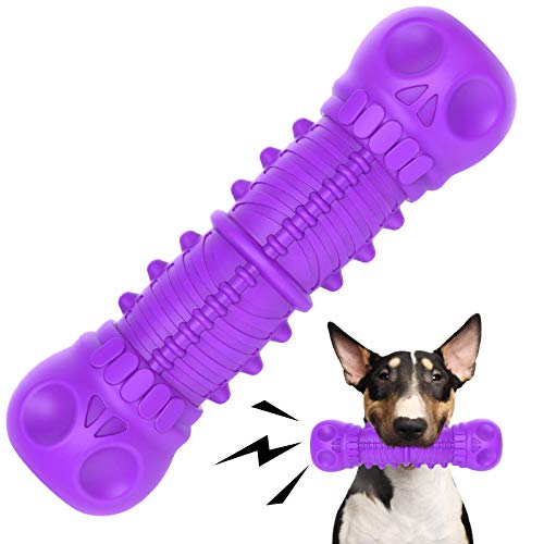 Dog Squeaky Toy