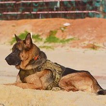 Load image into Gallery viewer, Tactical Dog Harness with Metal Buckle
