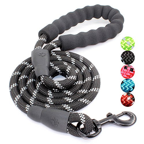 BAAPET 5 FT Padded Dog Leash