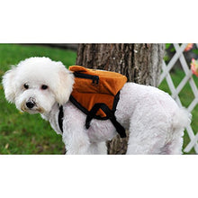 Load image into Gallery viewer, Cute Pet Backpack
