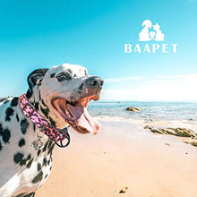 Load image into Gallery viewer, BAAPET Comfortable Dog Collar
