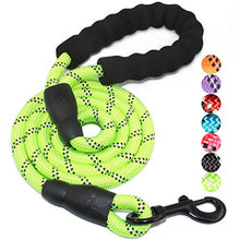 Load image into Gallery viewer, BAAPET 5 FT Padded Dog Leash
