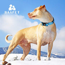 Load image into Gallery viewer, BAAPET Comfortable Dog Collar
