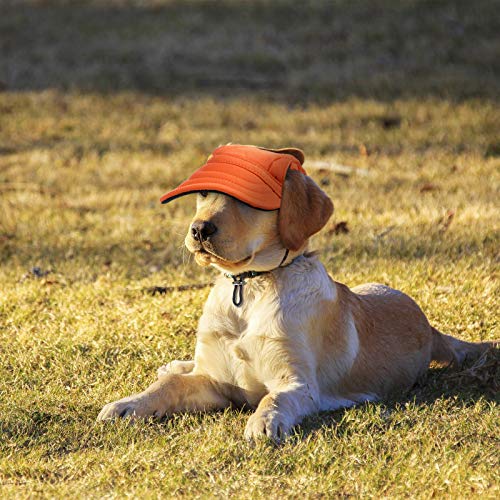 Dog Hat for Small Dogs Dog Sun Hats with Ear Holes, Pet Puppy Baseball Cap  for Summer 